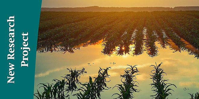 Stock Image Agriculture